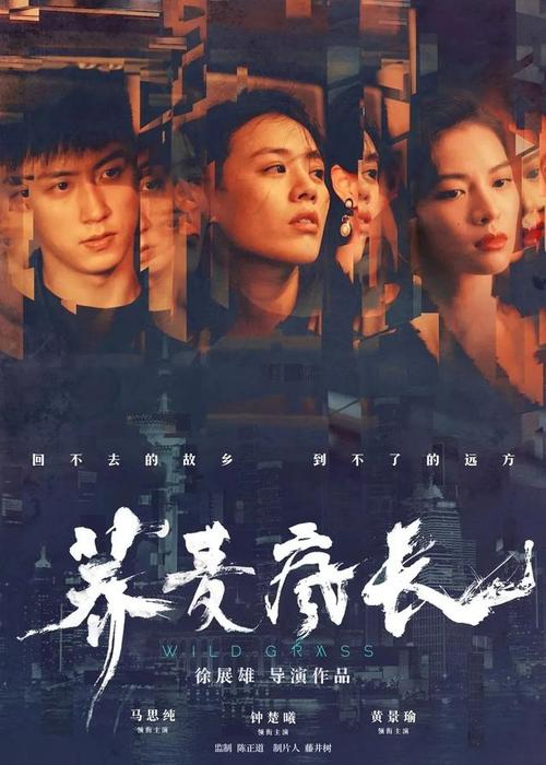 哪里可以办中国护照扫描件